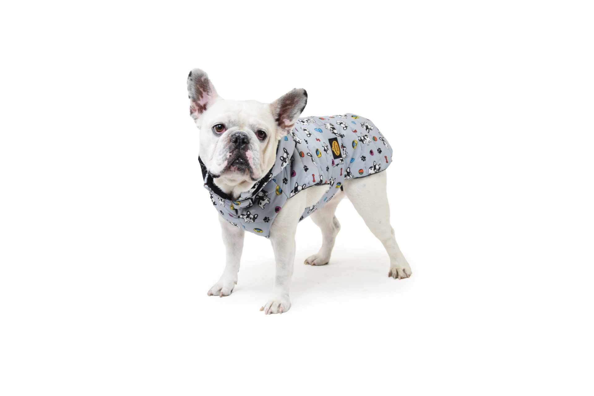 Cappotto impermeabile trapuntato con cappuccio rimovibile bulldog francese