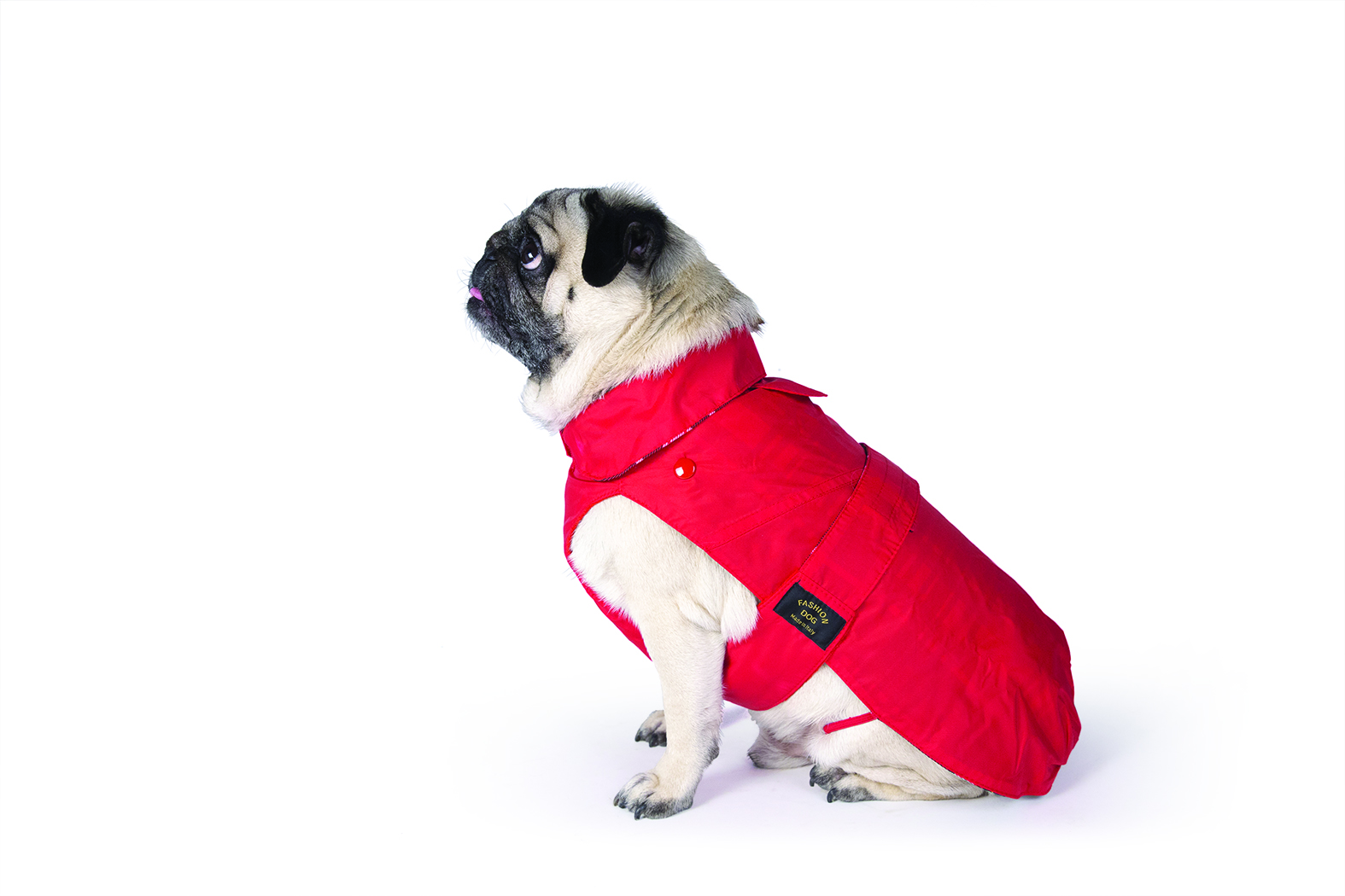 Cappotto impermeabile con imbottitura staccabile per Carlino e Bulldog Francese